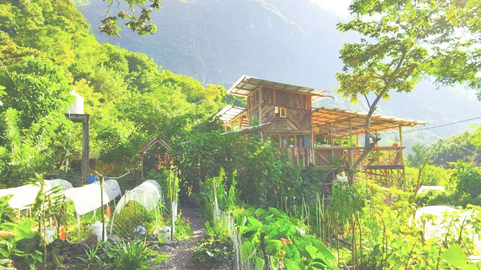 Granja Tz'ikin farm