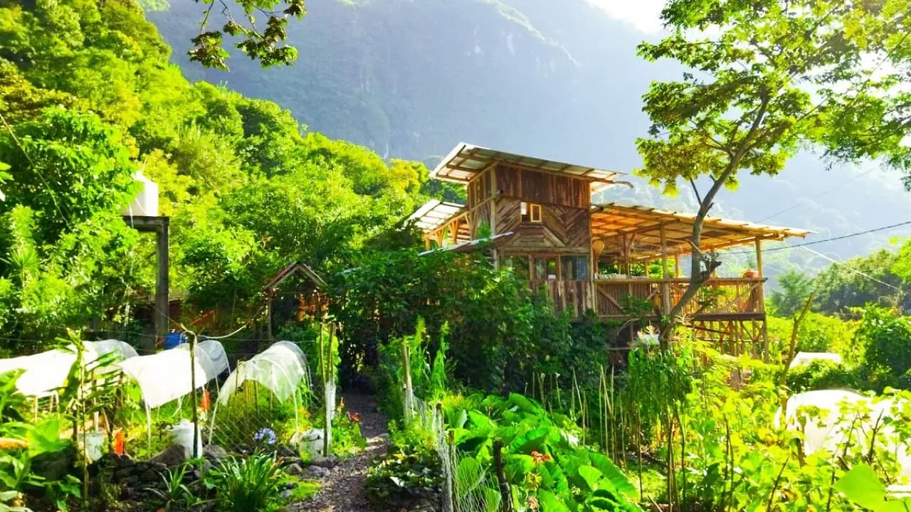 Lofty Nest — Casa Cushin (Granja Tzikin). 22